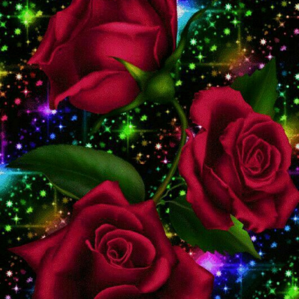 Meet your Posher, DeeD